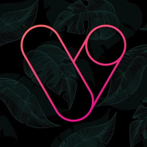 Vera Outline Icon Pack APK