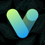 Vera Icon Pack APK