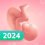 Pregnancy APK