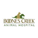 Boones Creek Animal Hospital icon