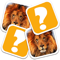 Animal Cards APK