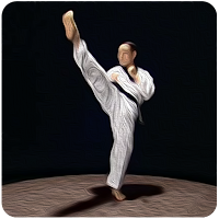 Taekwondo Basic Motions icon