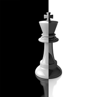 Chess - World of Chess icon