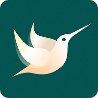 Thunderbird VPN APK