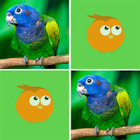 Birds Memory Match Game icon