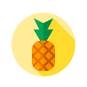 About Pineapple icon