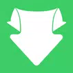 Savefrom Helper icon