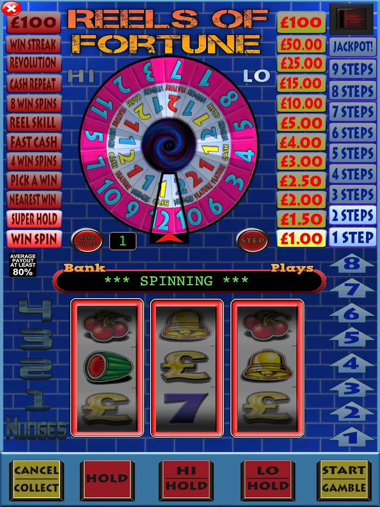 Reels of Fortune Fruit Machine