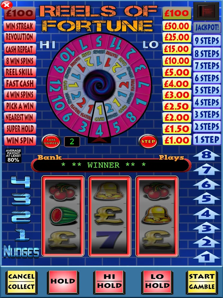 Reels of Fortune Fruit Machine