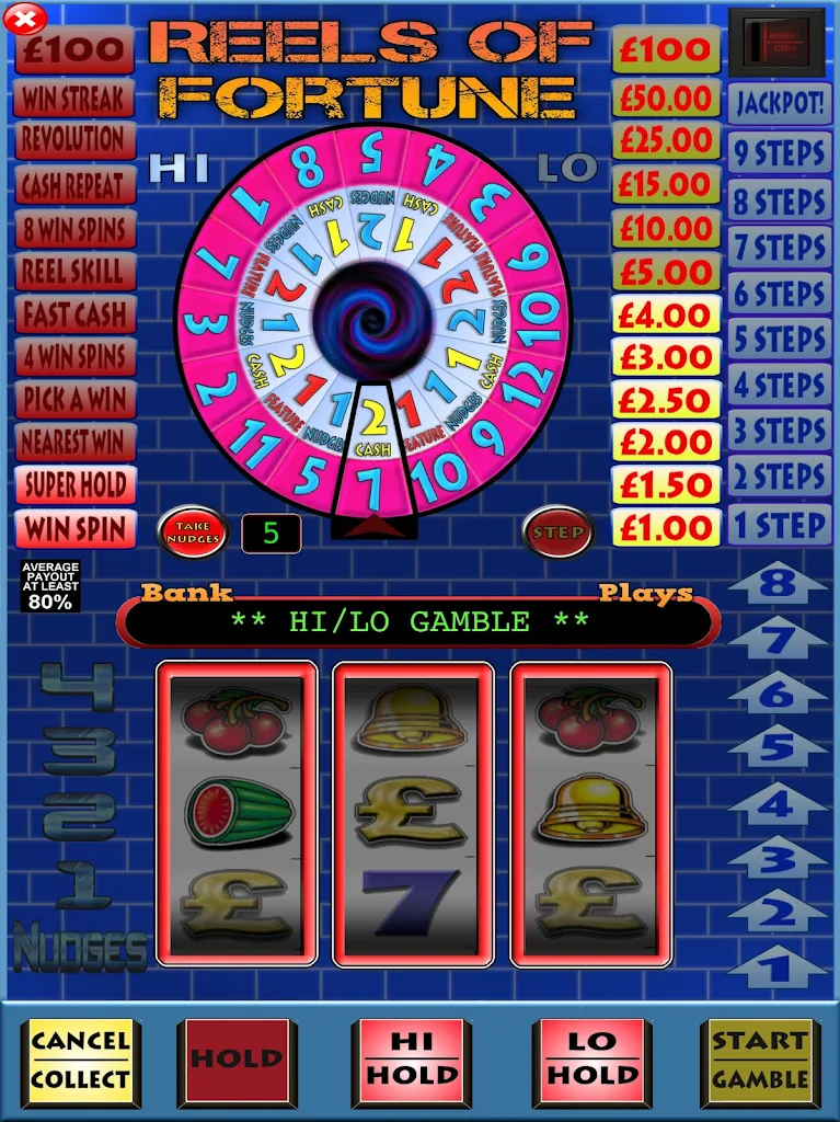 Reels of Fortune Fruit Machine