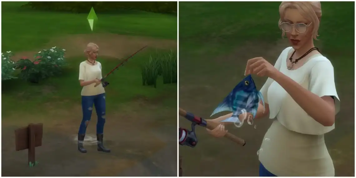 The Sims 4: Guide on How to Catch Angelfish News