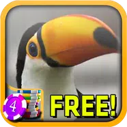 Toucan slot icon