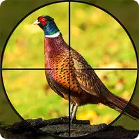 Pheasant Shooter Birds Hunting APK