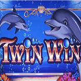 Twin Wins icon