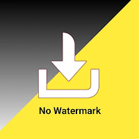 TikSnap: no watermark download icon