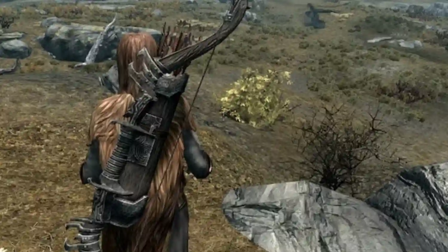 Skyrim Lead Designer Reveals Why More Expansions Were Not Developed