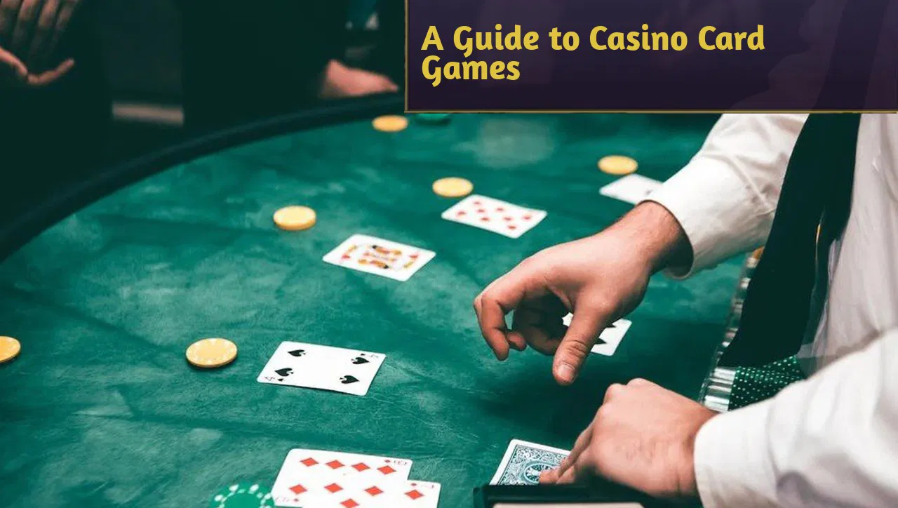 Level Up Your Game: A Beginner’s Guide to Casino Card Games! News