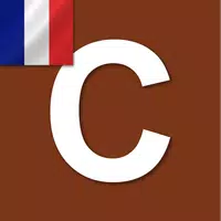 Word Checker - French APK