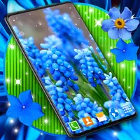 Blue Flowers Live Wallpaper APK