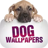 Wallpapers with dogs in 4K icon