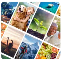 Picture Quiz: World APK