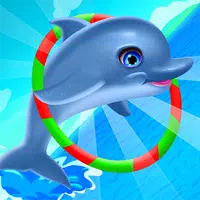 Dolphin Training Camp icon