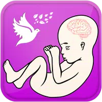 Pregnancy Guide - Baby Tracker icon