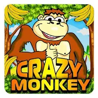 Monkey cash story icon