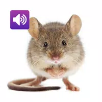 Mouse and Rat: Sound,Ringtones icon