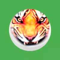 BaghChal - Tigers and Goats icon