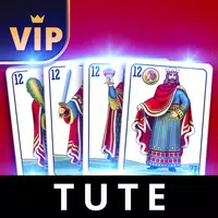 Tute Offline - Card Game APK