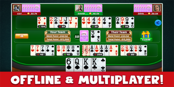 Canasta Plus Offline Card Game