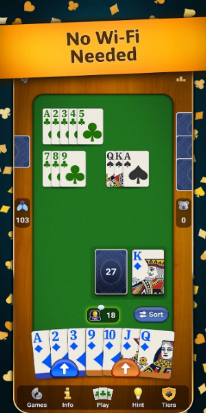 Rummy - classic card game