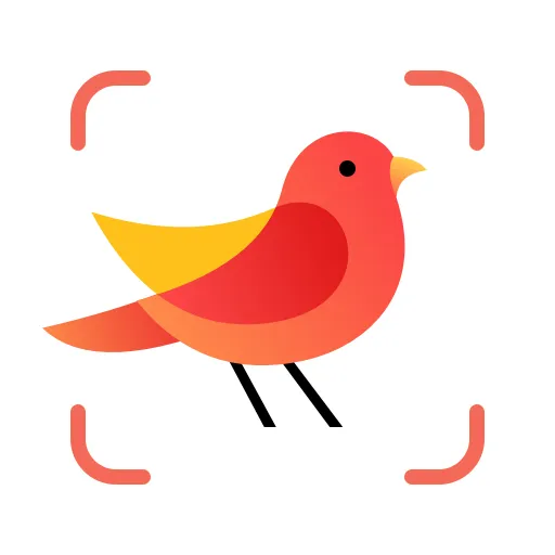 Picture Bird icon