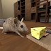 Stray Mouse Family Simulator icon