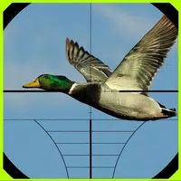 Duck Hunter Game icon