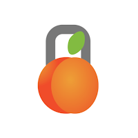 PeachVpn icon