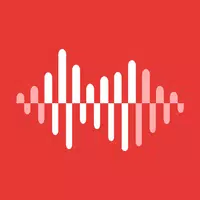 Voice Recorder - Voice memos APK