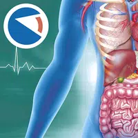 Anatomia Super APK