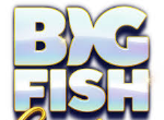 Big Fish Casino Cheats