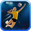 Fine Volleyball icon