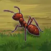 Ant Smash Master icon
