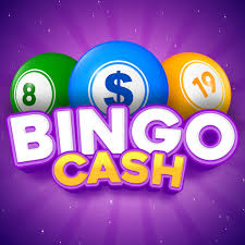 Bingo - Cash Win Real Money APK icon