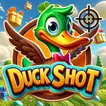 Duck Shot icon