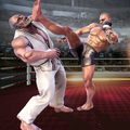 Boxing Club 3D icon