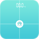 Huawei Body Fat Scale icon