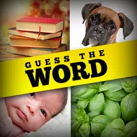 Guess the Word icon
