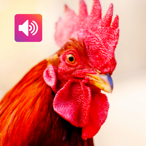 Rooster Sound icon