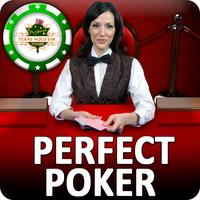 Perfect Poker APK icon