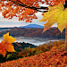 Falling Leaves Live Wallpaper icon
